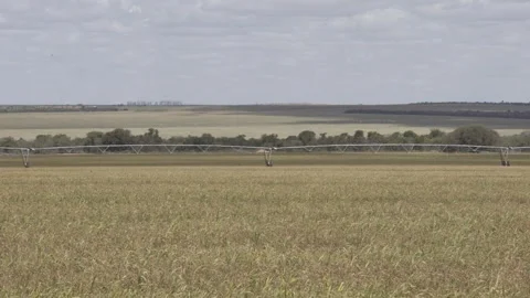 Center pivot irrigation system in Luís Eduardo Magalhães, MATOPIBA region Stock Footage 316084968