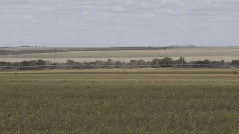 Center pivot irrigation system in Luís Eduardo Magalhães, MATOPIBA region Video stock 316085003