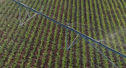 Center Pivot Irrigation system over a corn field close up Stock Footage 157978783