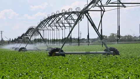 Center Pivot Irrigation System in potato agricultural field. Video stock 310280563