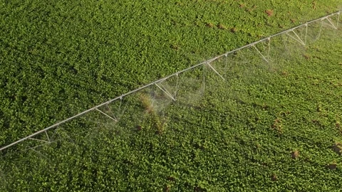 Center pivot irrigation system watering a lush green agricultural field Видео 342592759