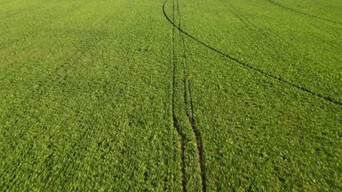 Center pivot irrigation system watering a lush green agricultural field 動画素材 342592806