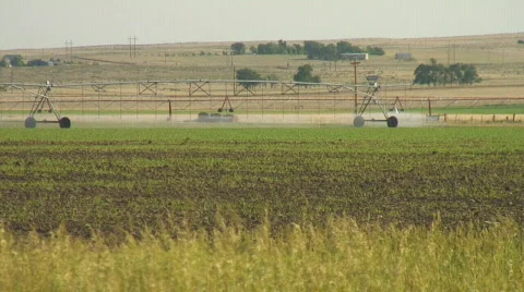 Center pivot irrigation system waters distant field. Stock-Footage 144154