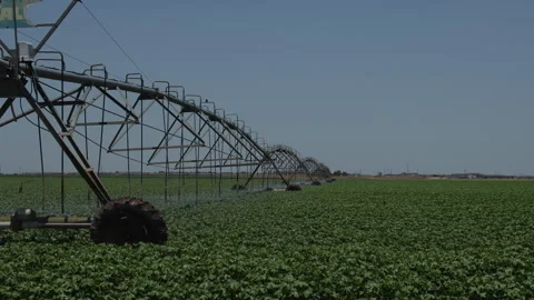 Center pivot moves across the screen as it waters cotton, 4K. Stock Footage 246420452