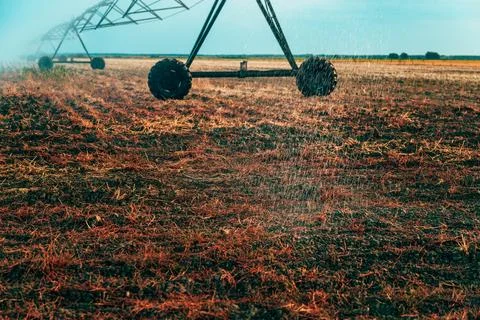 Center pivot sprinkler system spanning an expansive dry field under a calm .. Fotos Stock