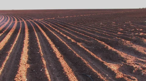 Center pivot working 2 Stock Footage 27420597