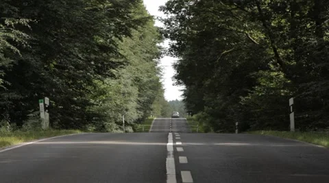 Center of Road in Forest Stock Footage 47826666