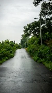 Center view of an empty road with green bushes at the side. Stock Photos