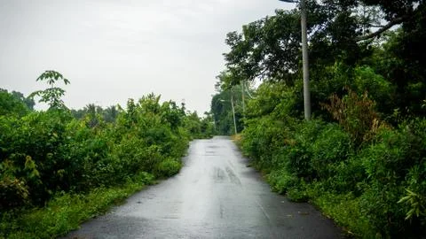 Center view of an empty road with green bushes at the side. Stock Photos