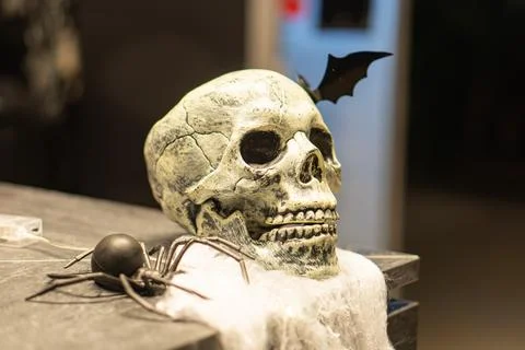 Centered, Halloween decor, skull with bat, aged appearance, cracks, crevice.. Stock Photos