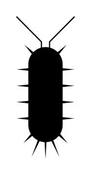 Centipede millipede cartoon posing flat insect black silhouette vector Stock Illustration