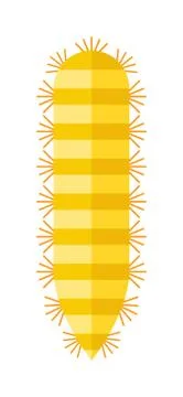 Centipede millipede cartoon posing flat insect vector Stock Illustration