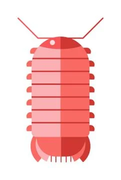 Centipede millipede cartoon posing flat insect vector Stock Illustration