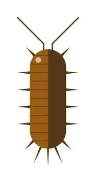 Centipede millipede cartoon posing flat insect vector Stock Illustration
