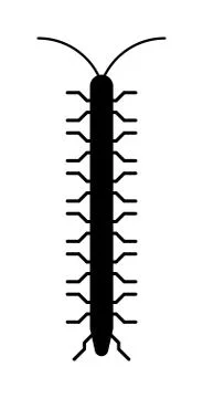 Centipede millipede cartoon posing flat insect vector Stock Illustration