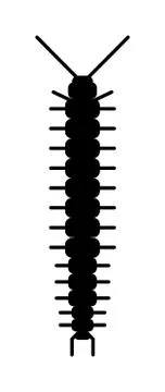 Centipede millipede cartoon posing flat insect vector Stock Illustration