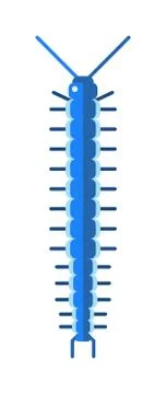 Centipede millipede cartoon posing flat insect vector Stock Illustration