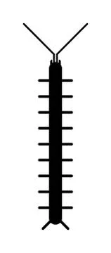 Centipede millipede cartoon posing flat insect black silhouette vector Stock Illustration