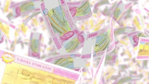 Central African 2000 XAF Banknotes Falling in Slow Motion Stock Footage 294938179