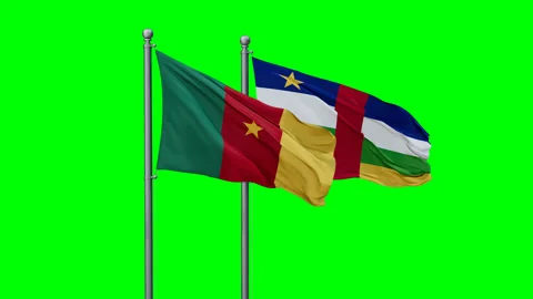 Central African and Cameroon flags Stock Footage 292797794
