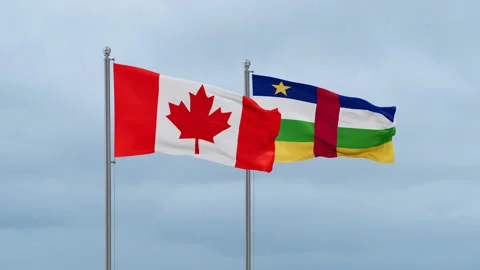 Central African flag Stock-Footage 252023219