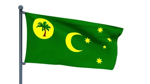 Central African Republic Flag Stock Footage 150195995