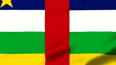 Central African Republic flag waving in the wind Stock Footage 343573771