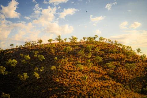 Central Australia 4 Stock-Fotos