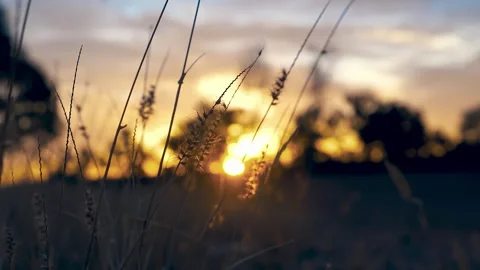 Central Australia. Iconic attraction place in Outback Red Center, Northern Terri Stock Footage 294648451