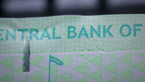 Central Bank of Sudan Currency Note Closeup Detail Stock Footage 339124428