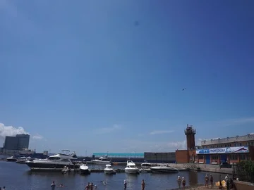 Central beach Vídeo Stock 85977400