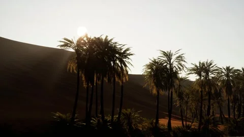 Central Desert Video stock 288831062