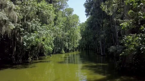 Central Florida River POV 動画素材 78537285