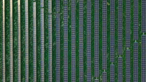 Central Gap Within Symmetrical Solar Rows Stock Footage 347055682
