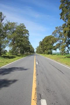 Central image of an empty road surrounded by trees in the countryside Stock Photos