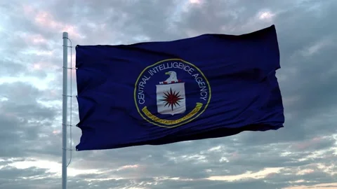 Central Intelligence Agency flag waving in wind. National Security CIA Central Stock Footage 130829633