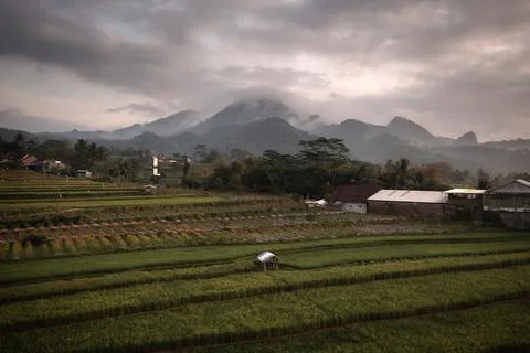Central Java 4K drone video  Stock Photos