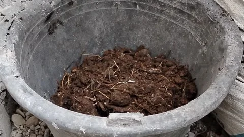 Central Java Indonesia 12 July 2026: A person transfers goat manure from a sack  Vídeo Stock 339324519