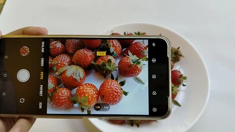 Central Java Indonesia 13 May 2026: A smartphone camera capturing fresh strawber Stock Footage 336289378