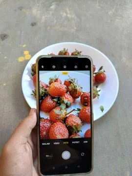Central Java Indonesia 13 May 2026: A smartphone camera capturing Stock Photos