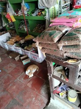 Central Java Indonesia 17 July 2026: A local animal feed and pet supply shop fea Fotos Stock