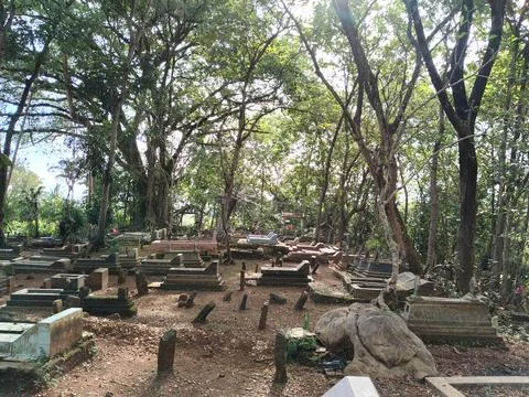 Central Java Indonesia 20 March 2026: Serene burial site surrounded by tall tree Fotos de archivo