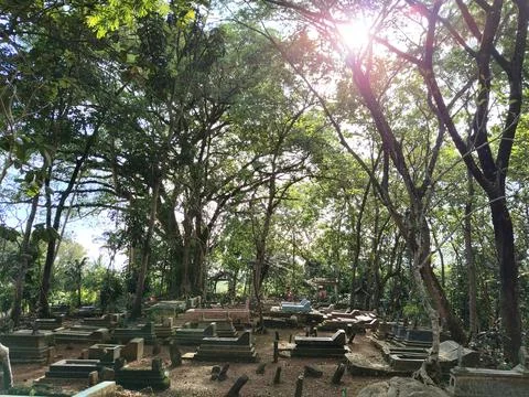 Central Java Indonesia 20 March 2026: Serene burial site surrounded by tall tree Fotos de archivo
