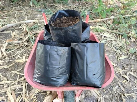 Central Java Indonesia 26 June 2026: Close-up of a wheelbarrow transporting  Stock-Fotos