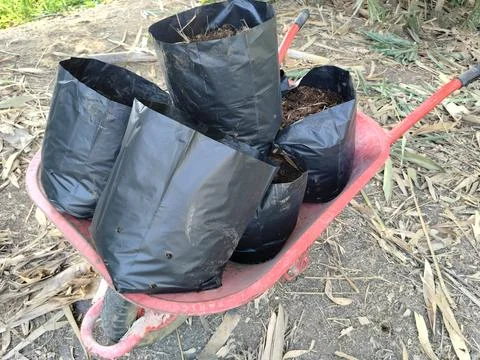 Central Java Indonesia 26 June 2026: Close-up of a wheelbarrow transporting  Stock Photos
