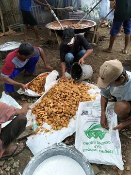 Central Java Indonesia 4 June 2026: Villagers work together to make traditional Stock Photos