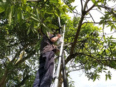 Central Java Indonesia 7 February 2026: IT technician setting up wireless  Stock Photos