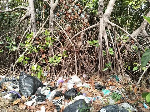 Central Java Indonesia 7 October 2026: Environmental degradation concept 库存照片