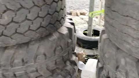 Central Java Indonesia 9 april 2026: Stacked large tires in an industrial worksh 動画素材 332625827