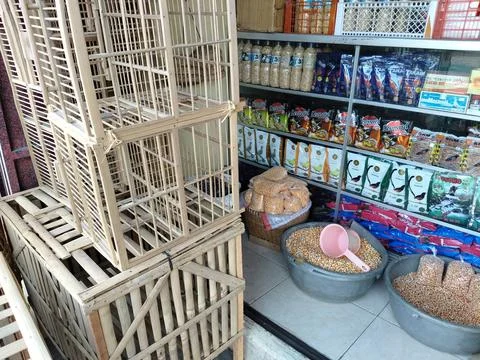 CENTRAL JAVA, INDONESIA - AUG 11, 2026: Everyday commerce in an Indonesian bird  Foto stock